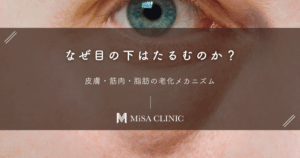 なぜ目の下はたるむのか?皮膚・筋肉・脂肪の老化メカニズム