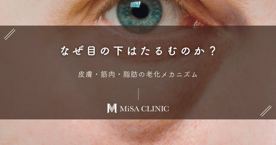 なぜ目の下はたるむのか？皮膚・筋肉・脂肪の老化メカニズム
