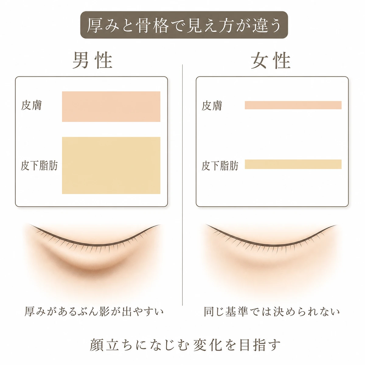 男性と女性の皮膚・皮下脂肪の厚みと目の下の影の違いを左右で比べた図