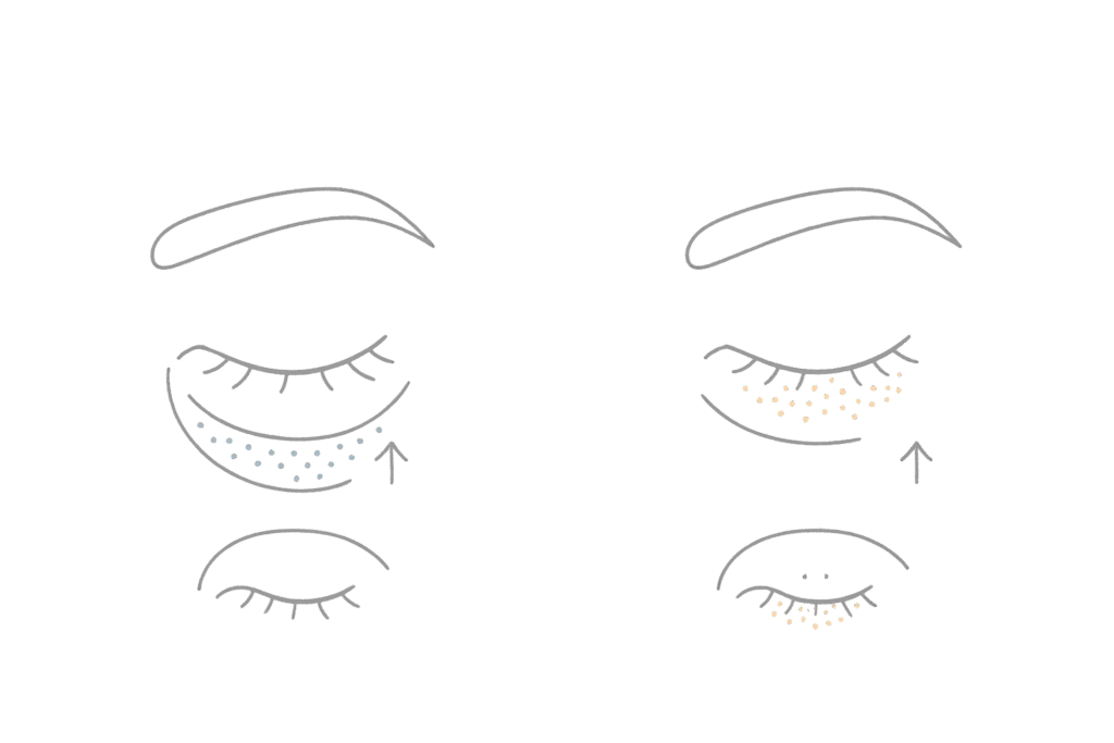 ベビーコラーゲンとヒアルロン酸の作用層の違い（断面模式図）
