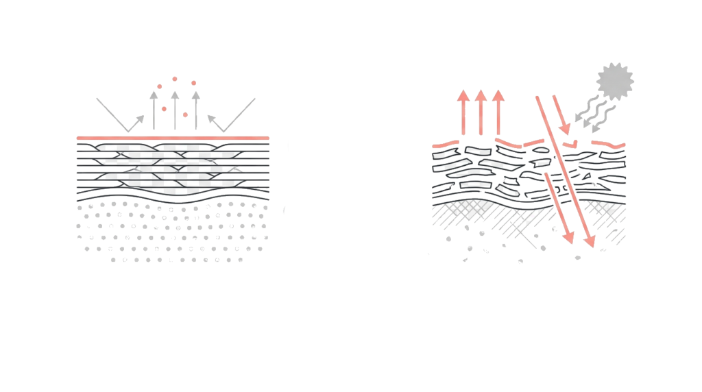 敏感肌のバリア機能低下と乾燥の関係イメージ