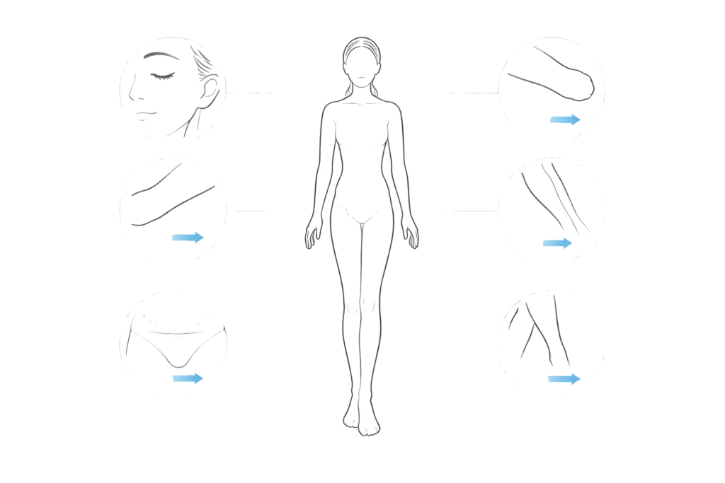 部位別の毛周期の違いと脱毛間隔の目安イメージ