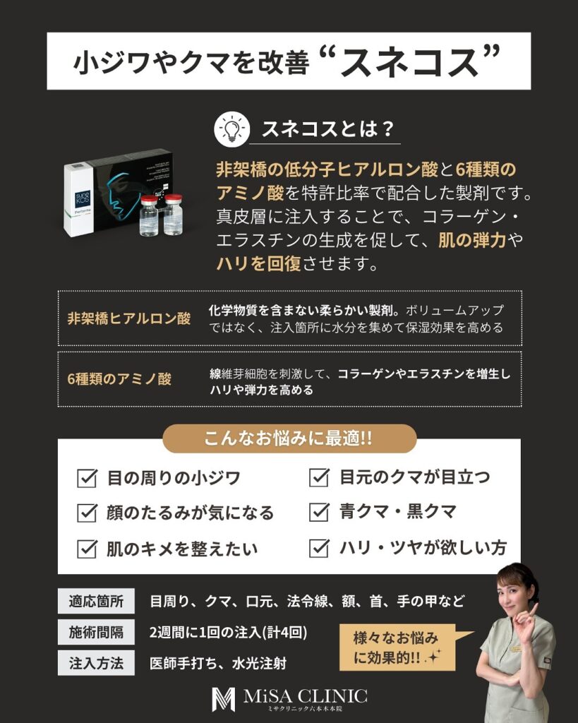 スネコスについて